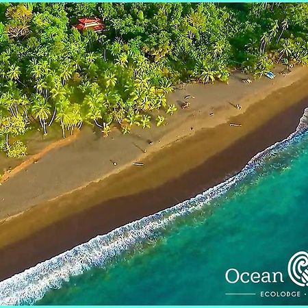 Ocean Forest Ecolodge San Pedrillo Екстер'єр фото