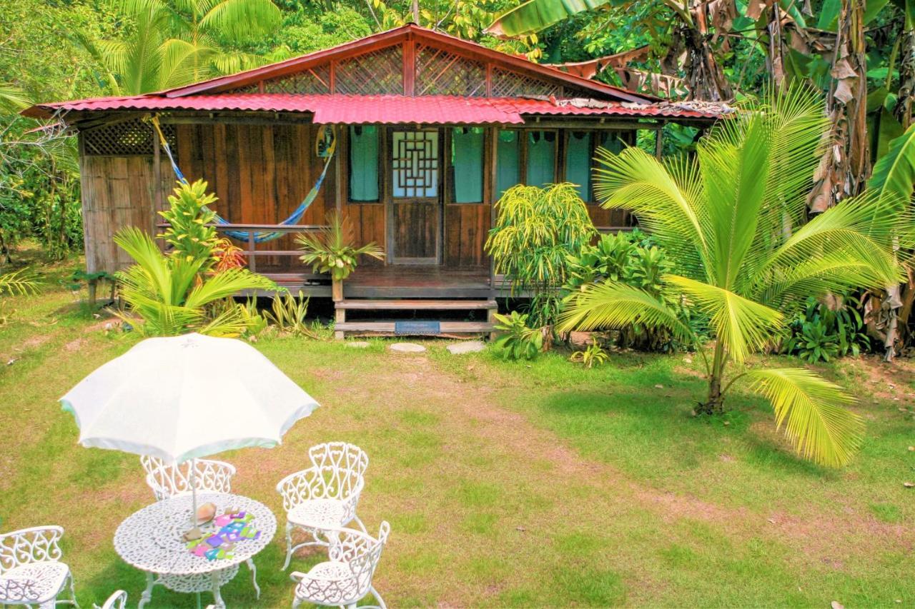 Ocean Forest Ecolodge San Pedrillo Екстер'єр фото