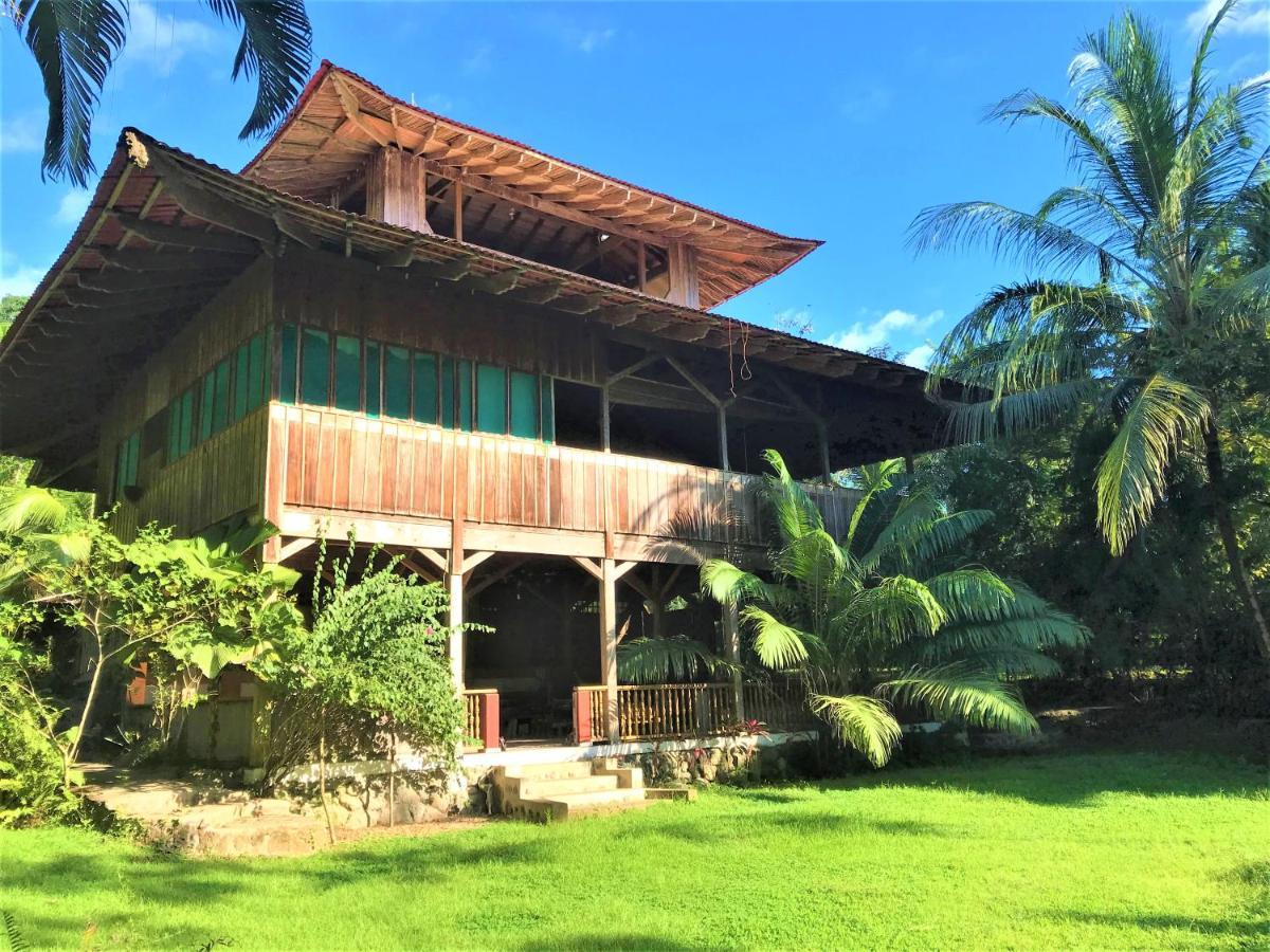 Ocean Forest Ecolodge San Pedrillo Екстер'єр фото