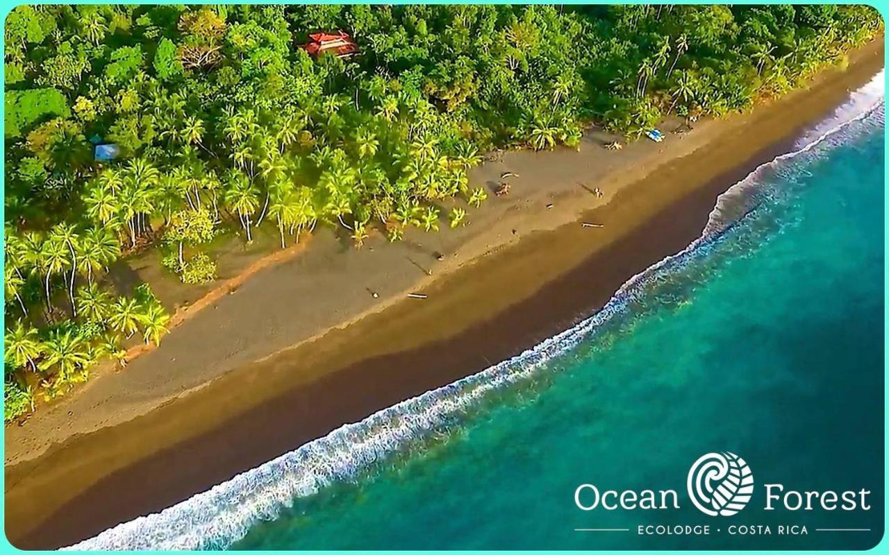 Ocean Forest Ecolodge San Pedrillo Екстер'єр фото