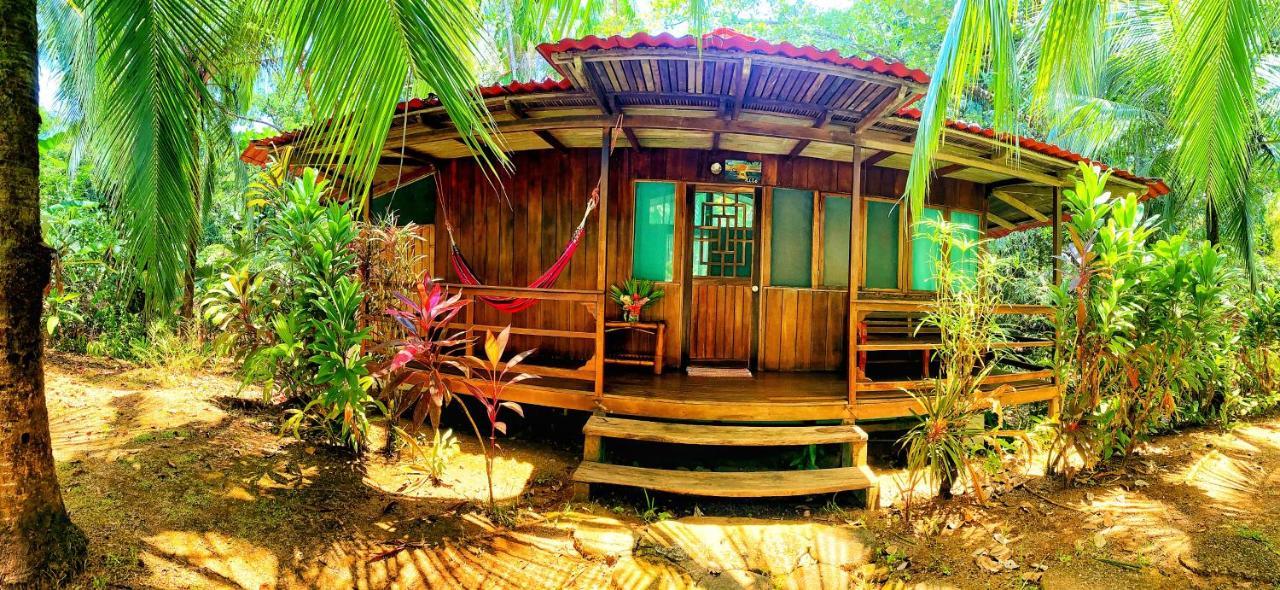 Ocean Forest Ecolodge San Pedrillo Екстер'єр фото