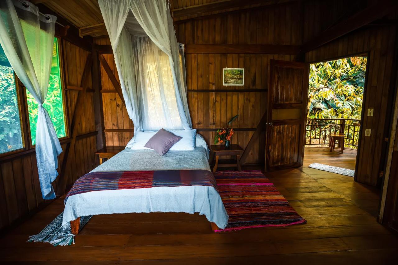 Ocean Forest Ecolodge San Pedrillo Екстер'єр фото