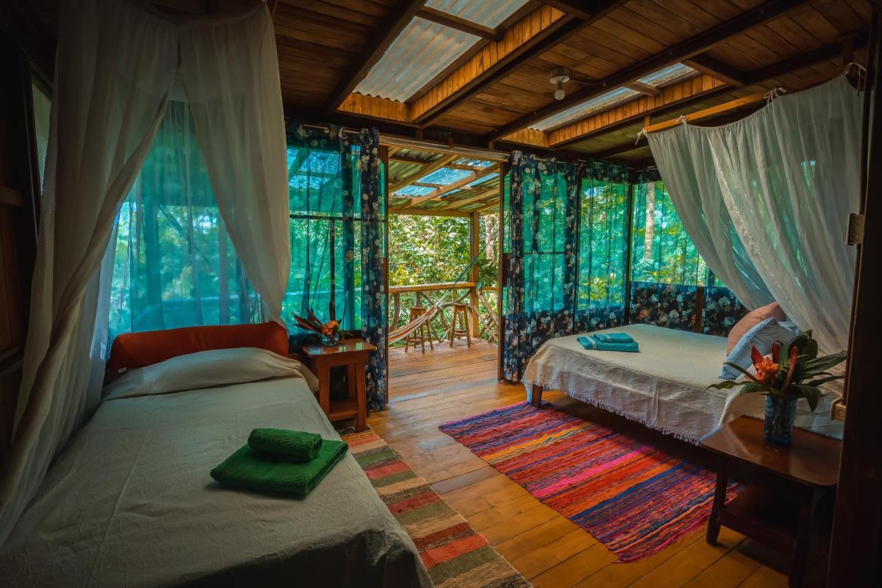 Ocean Forest Ecolodge San Pedrillo Екстер'єр фото