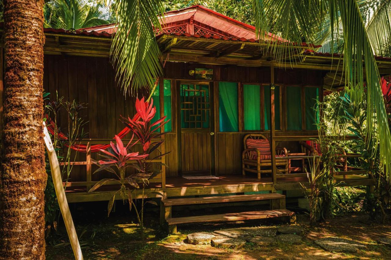 Ocean Forest Ecolodge San Pedrillo Екстер'єр фото