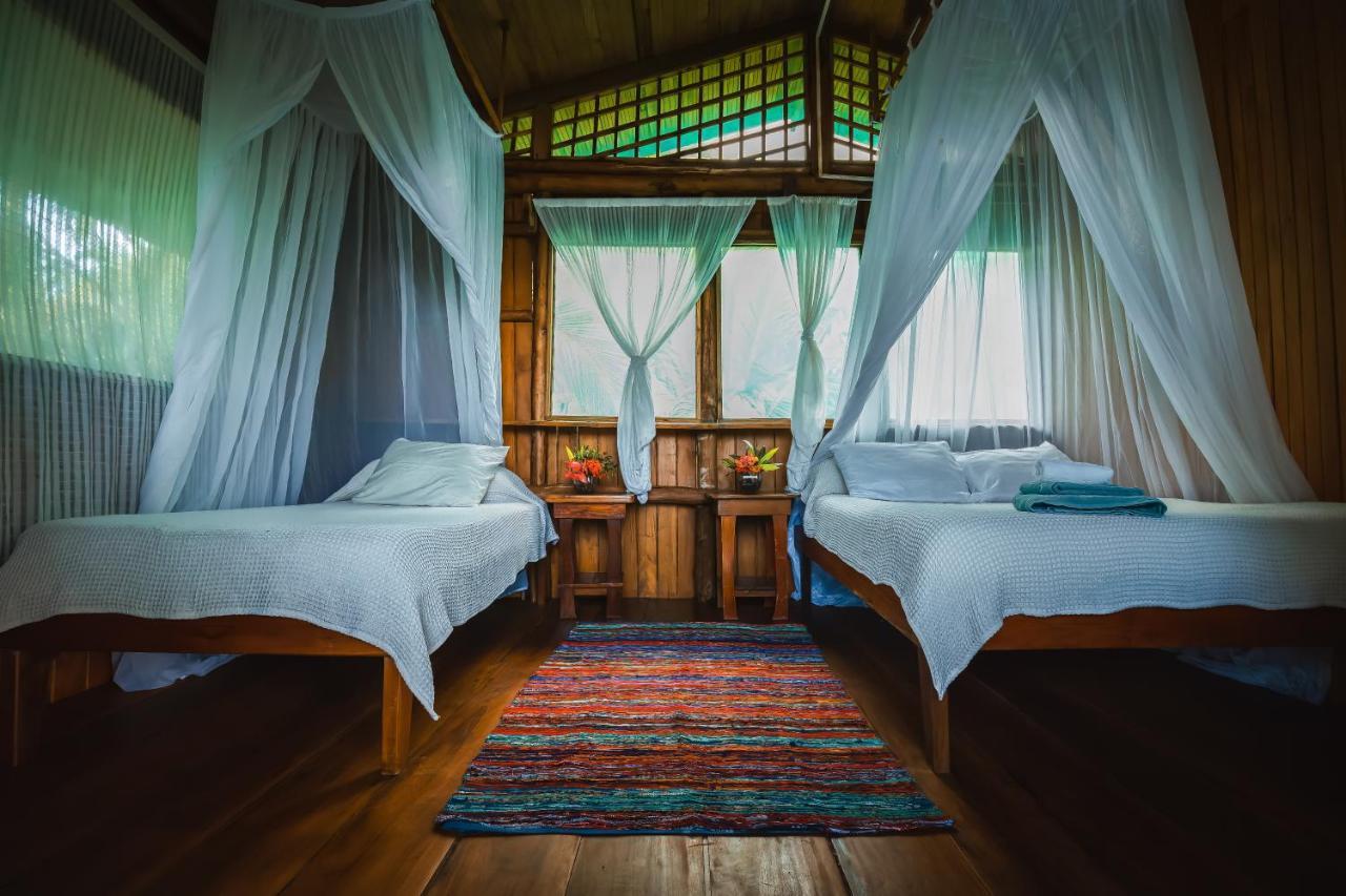 Ocean Forest Ecolodge San Pedrillo Екстер'єр фото