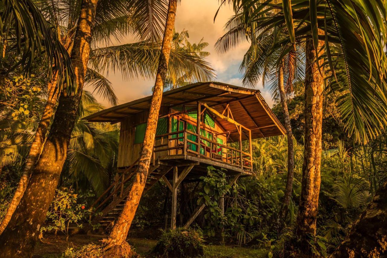 Ocean Forest Ecolodge San Pedrillo Екстер'єр фото