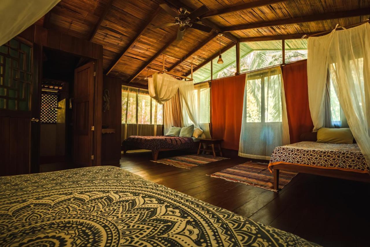 Ocean Forest Ecolodge San Pedrillo Екстер'єр фото