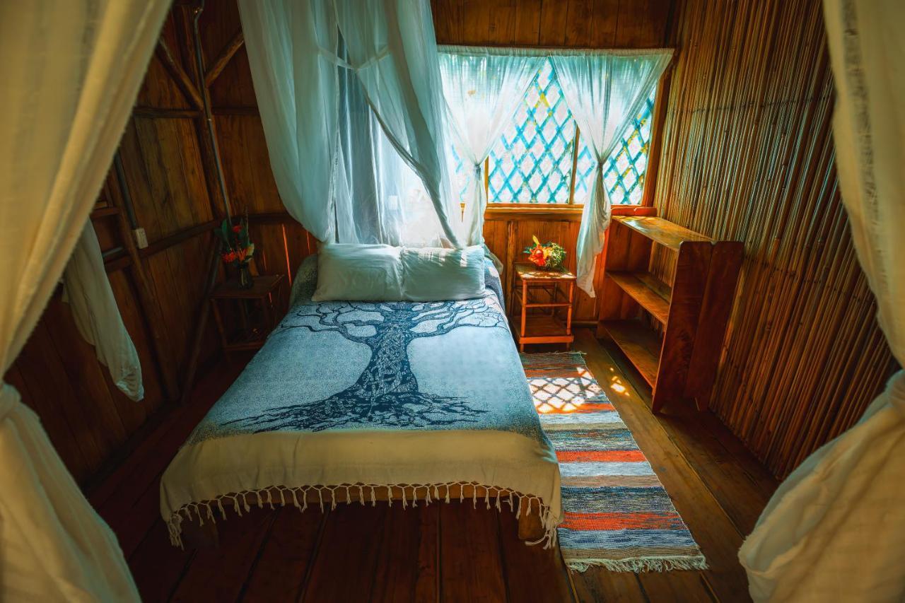 Ocean Forest Ecolodge San Pedrillo Екстер'єр фото