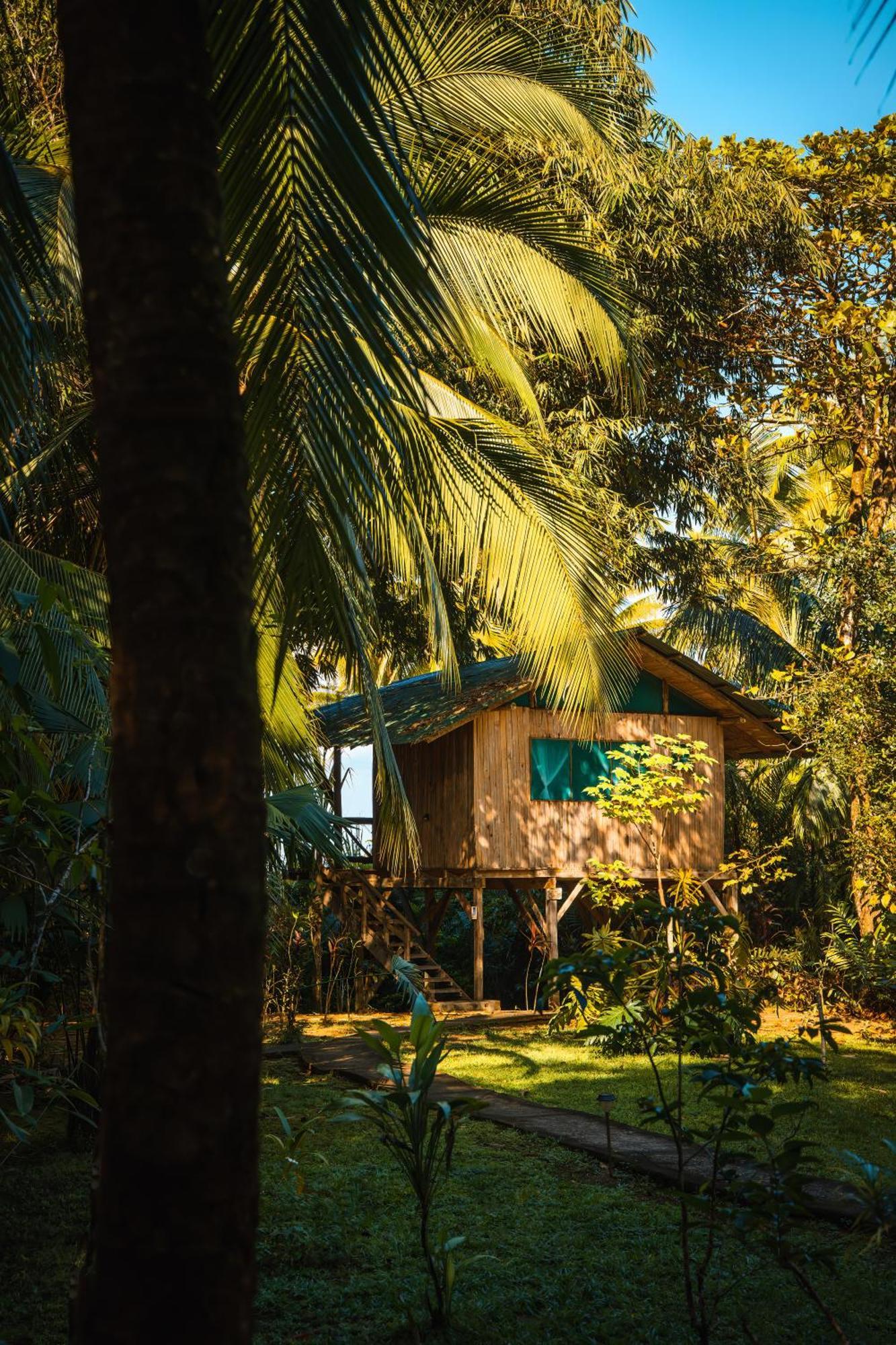 Ocean Forest Ecolodge San Pedrillo Екстер'єр фото