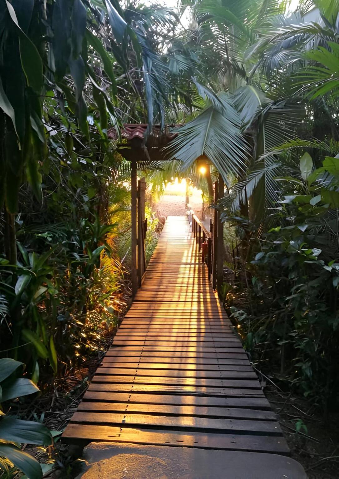 Ocean Forest Ecolodge San Pedrillo Екстер'єр фото