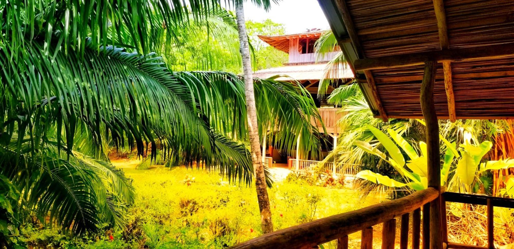 Ocean Forest Ecolodge San Pedrillo Екстер'єр фото