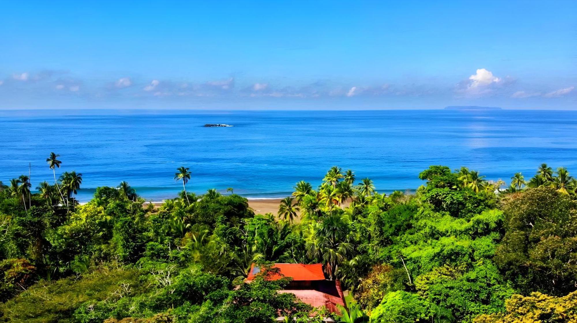 Ocean Forest Ecolodge San Pedrillo Екстер'єр фото