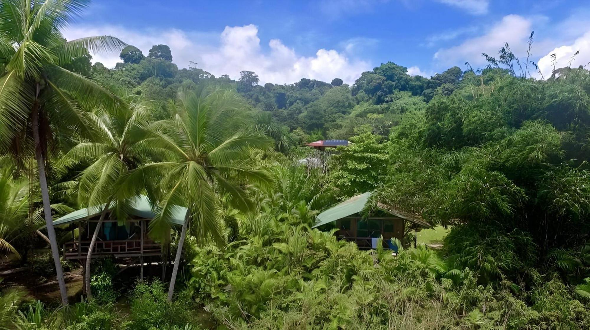 Ocean Forest Ecolodge San Pedrillo Екстер'єр фото
