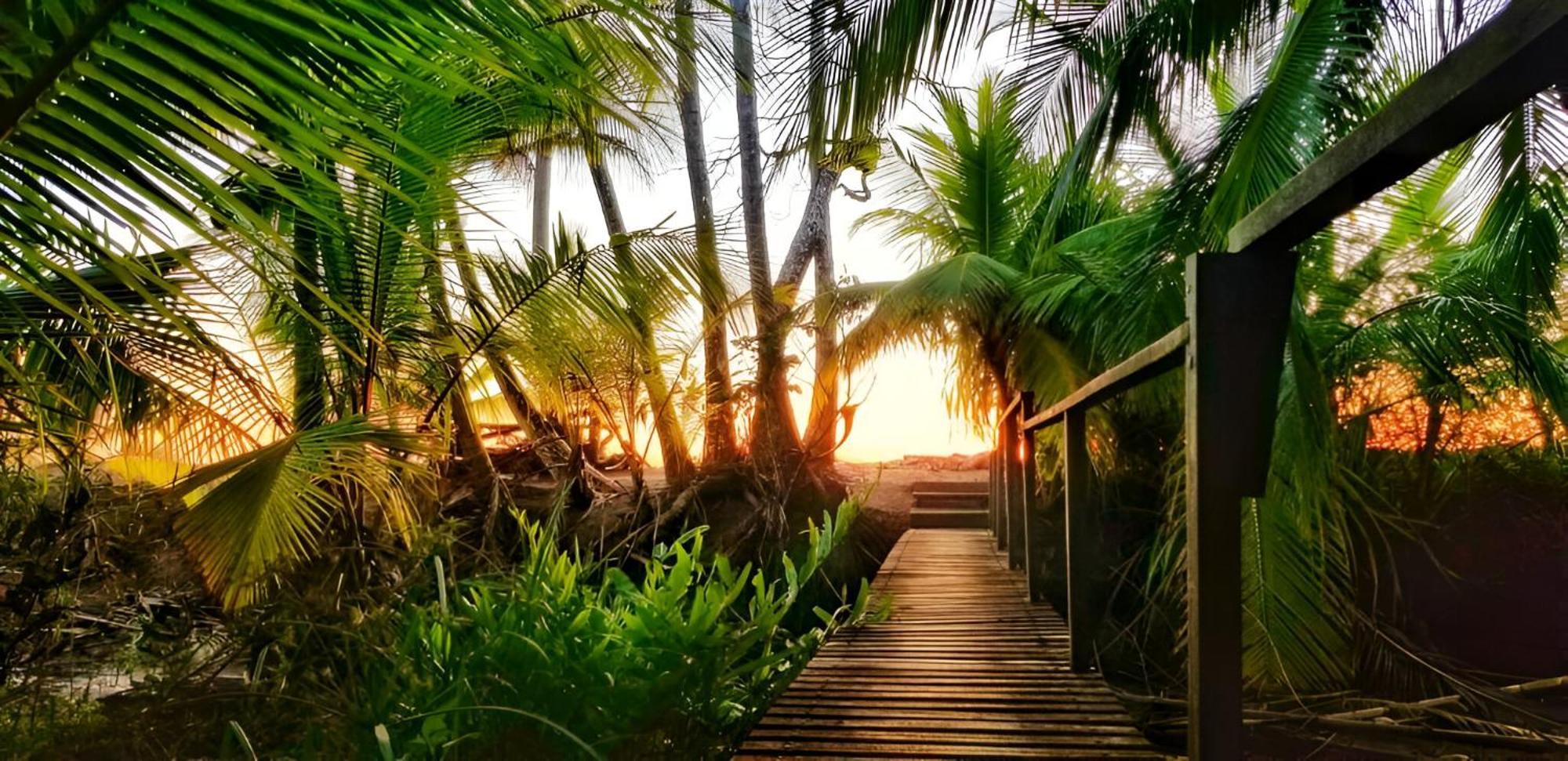 Ocean Forest Ecolodge San Pedrillo Екстер'єр фото