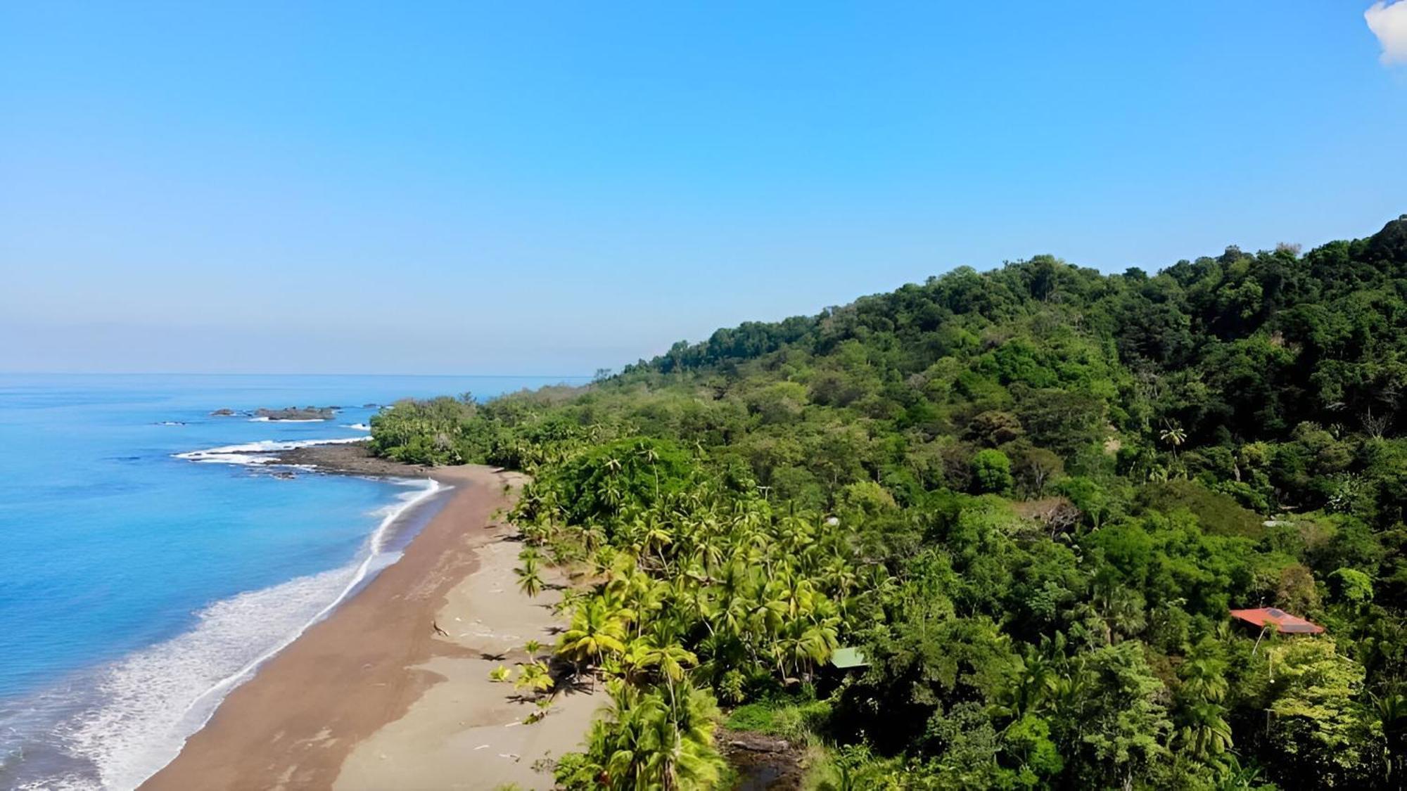 Ocean Forest Ecolodge San Pedrillo Екстер'єр фото