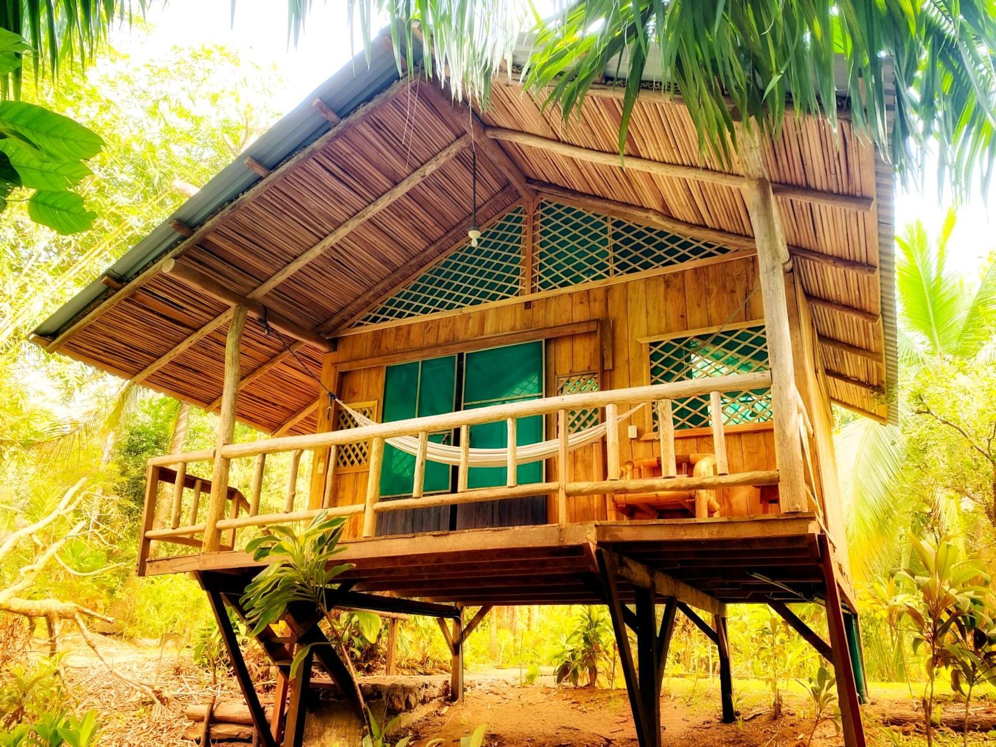 Ocean Forest Ecolodge San Pedrillo Екстер'єр фото